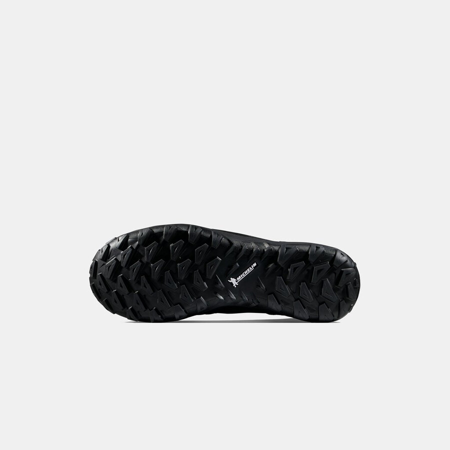 saentis pro wp men ダークイグアナフリージア