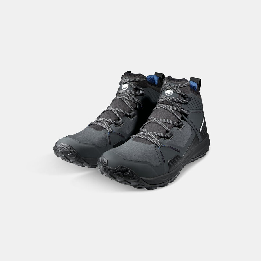 saentis pro wp men ダークイグアナフリージア