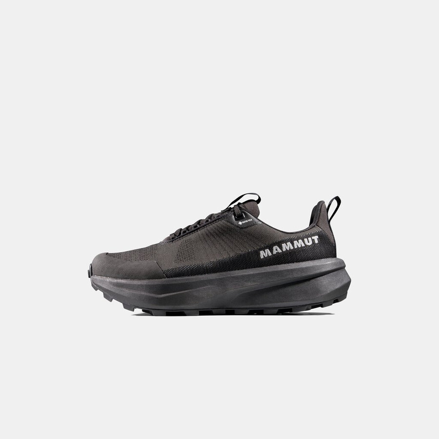 aenergy mtn low gtx メンズ イグアナブラック